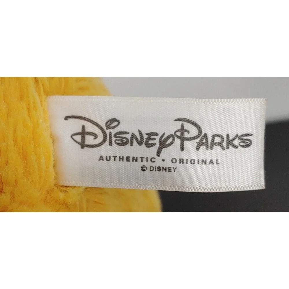 Disney parks pluto